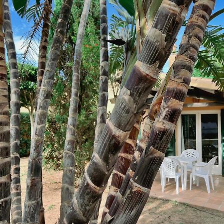 Bungalow Tropical Nº6 - Son Xoriguer Apartment Exterior photo