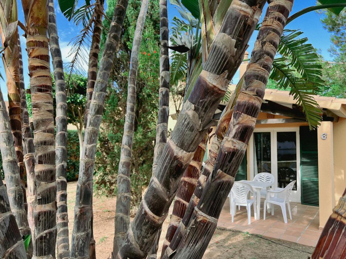 Bungalow Tropical Nº6 - Son Xoriguer Apartment Exterior photo