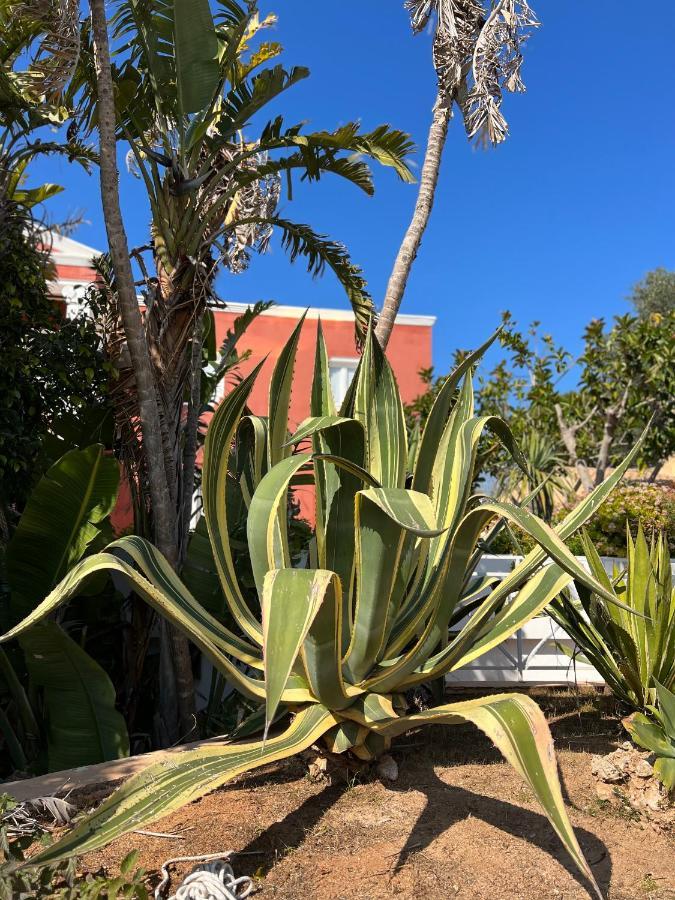 Bungalow Tropical Nº6 - Son Xoriguer Apartment Exterior photo